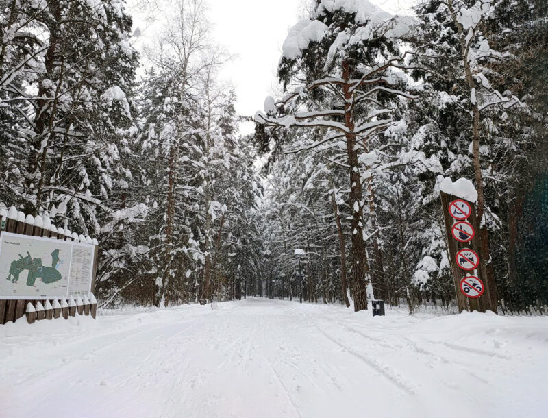 Трасса лыжероллерная Мещерский парк, состояние на 10 февраля 2026 по отзыву, фото 1. 